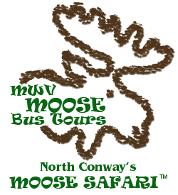 Mt. Washington Valley Moose Bus Tours logo